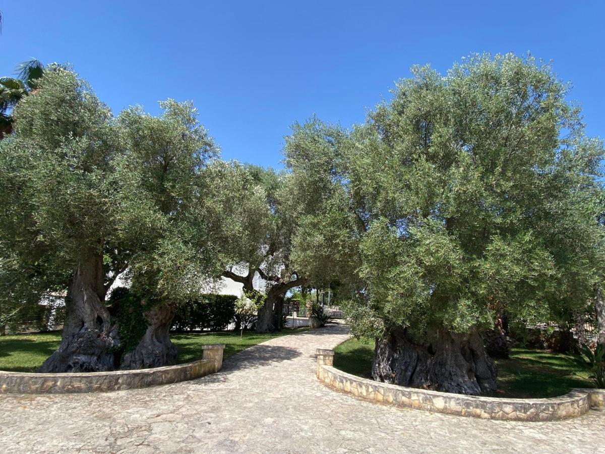 Citta Bianca Country Resort Ostuni Exteriör bild