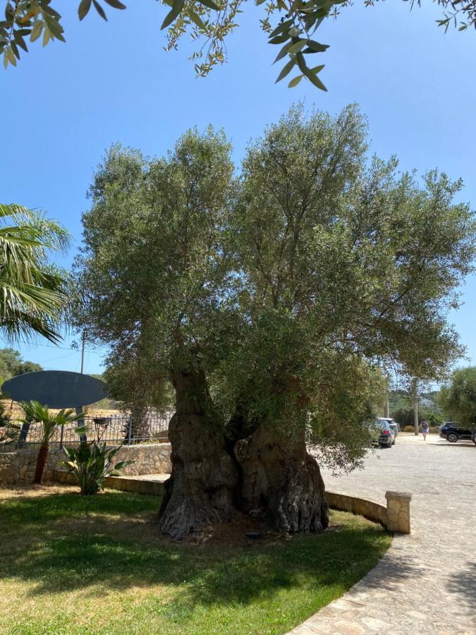 Citta Bianca Country Resort Ostuni Exteriör bild