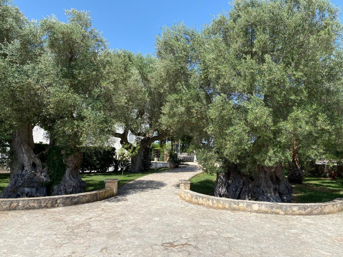 Citta Bianca Country Resort Ostuni Exteriör bild